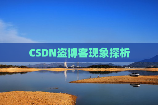 CSDN盗博客现象探析